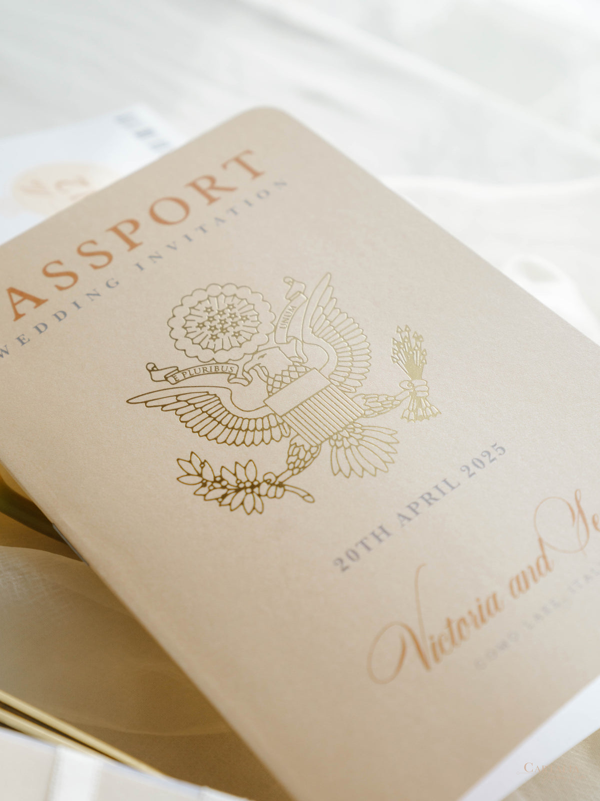 Invito a nozze con passaporto color nudo e oro - Aereo inciso di lusso in plexi dorato, invito a forma di palma