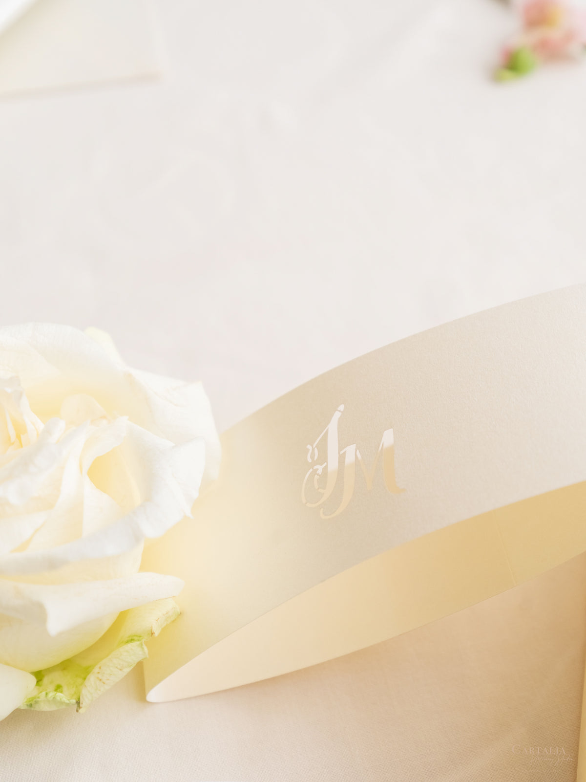 Illustrazione della sede del matrimonio personalizzata | Sede sventata Salva la data in lamina d'oro | CAMPIONE