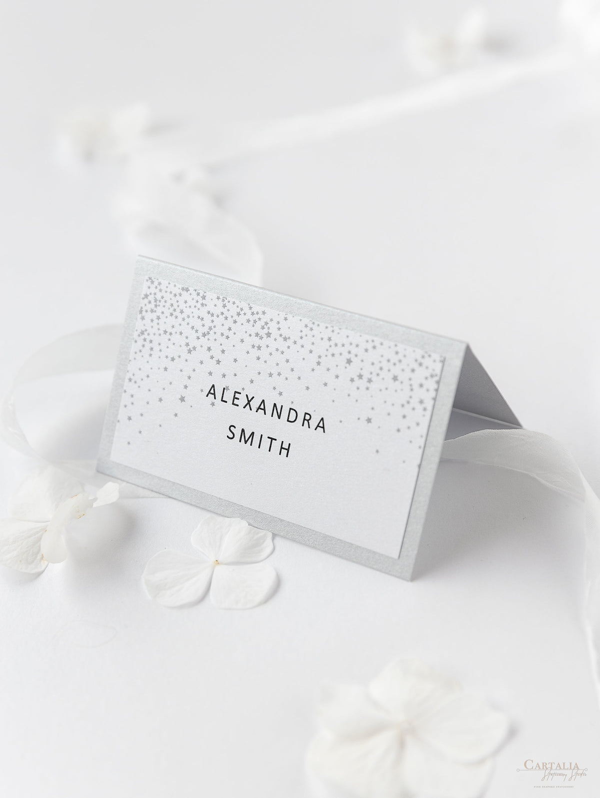 Bianco inverno, segnaposto fiocco di neve