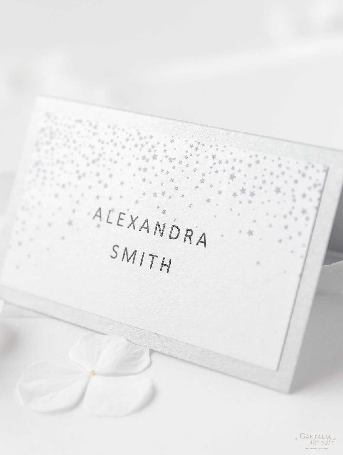 Bianco inverno, segnaposto fiocco di neve