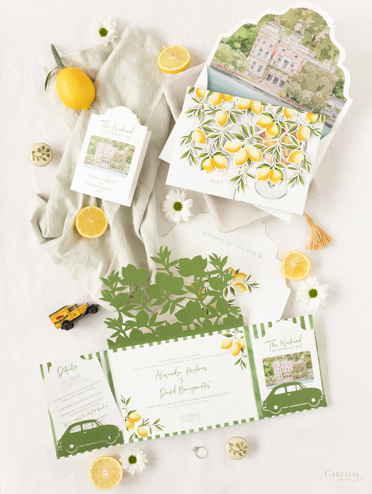 Location personalizzata: Villa Feltrinelli sul Lago di Garda Suite per partecipazioni di matrimonio | Commissione A&D su misura