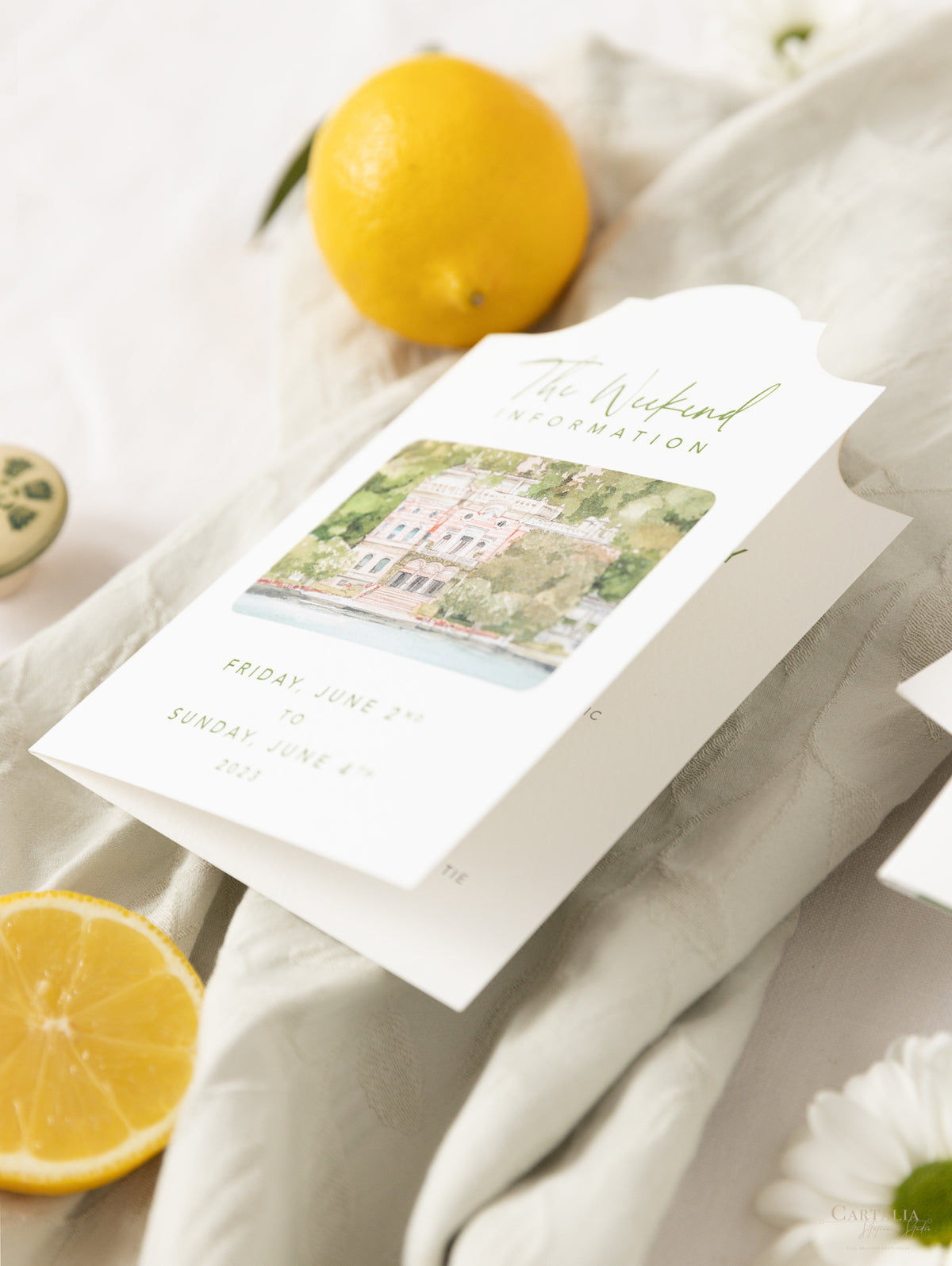 Location personalizzata: Villa Feltrinelli sul Lago di Garda Suite per partecipazioni di matrimonio | Commissione A&D su misura