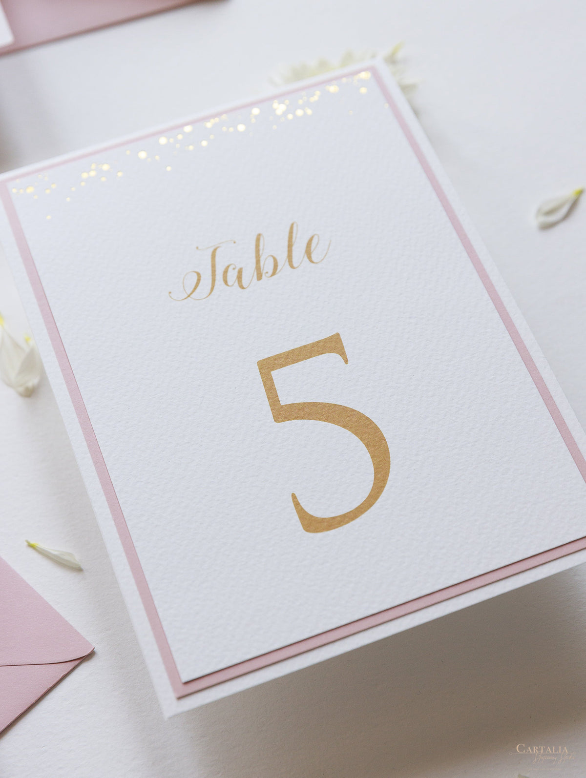 Confetti Dotted Table Number Cards