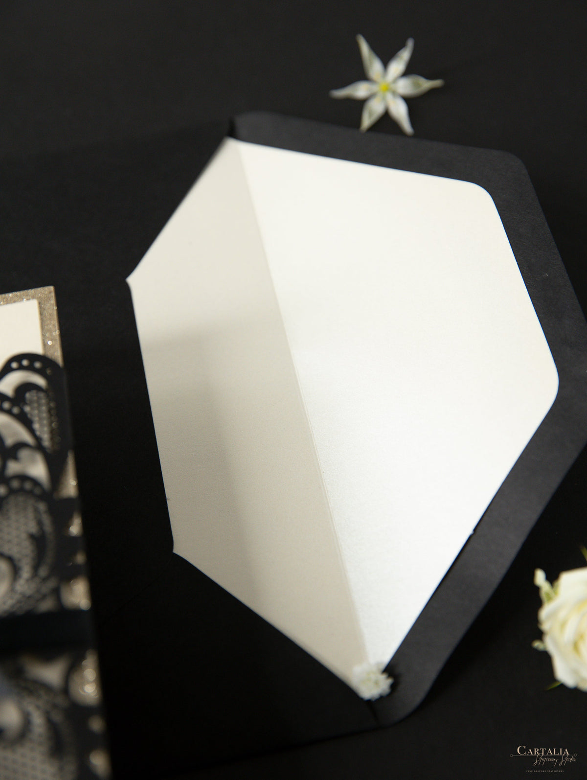 Black Opulence Elegant Laser Gatefold with Ribbon Tie design and Gold Glitter