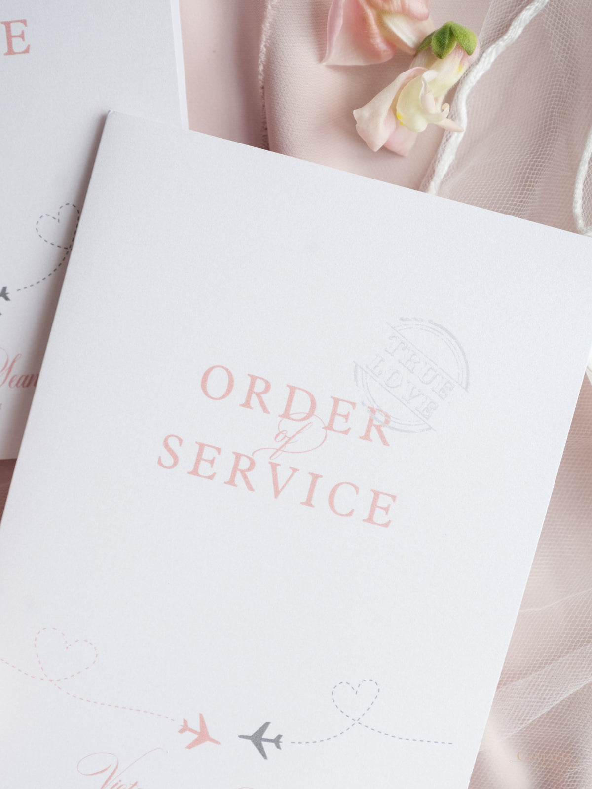 Passport Style Order of Day & Service