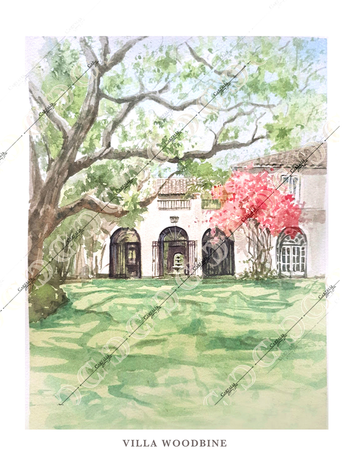 Bosquejo de Churchill Manor, Napa | California