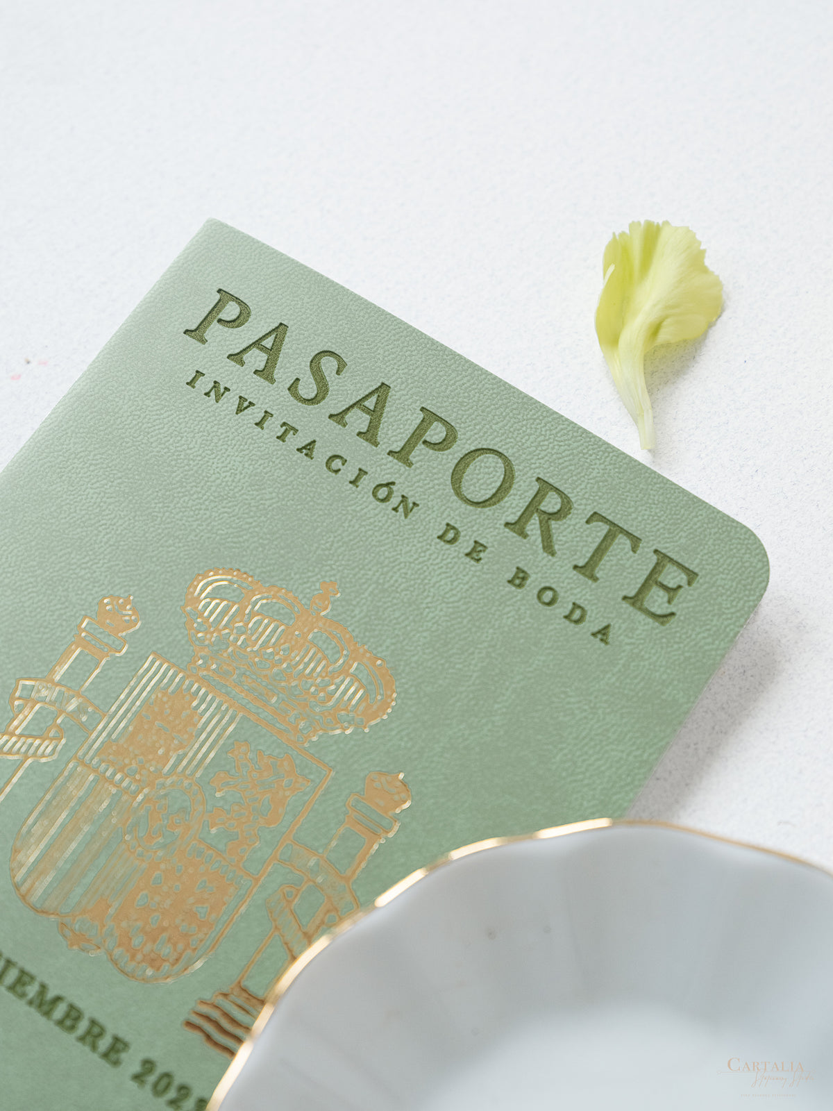 Invitation de passeport en cuir végétalien vert Sage | Commission sur mesure n & a