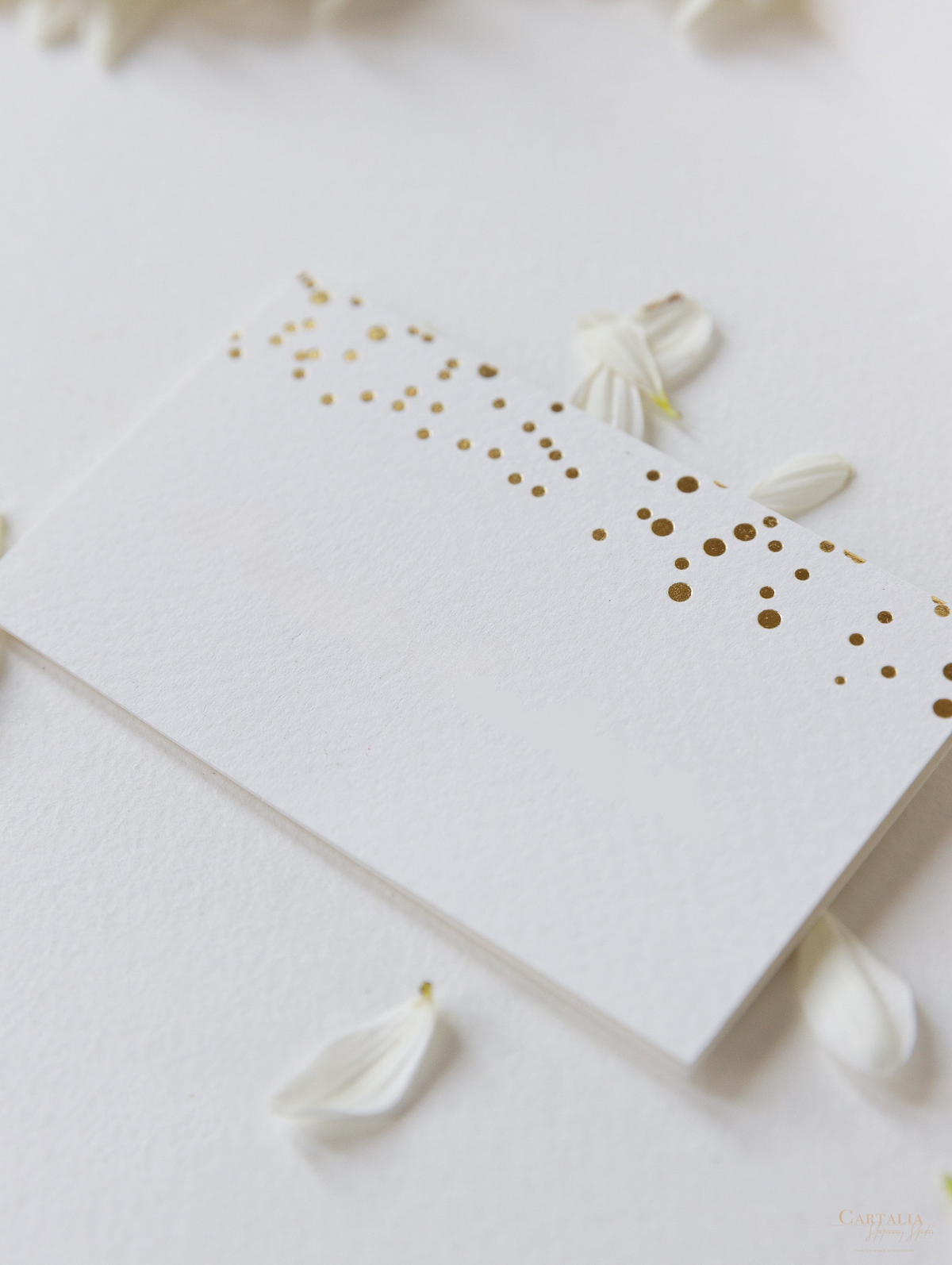 Tarjeta de lugar con puntos de confeti de aluminio