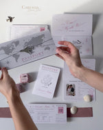 Portafoglio FOLDER: invito per passaporto di nozze di lusso in argento in tasca e suite per inviti per passaporto con tag aereo a specchio