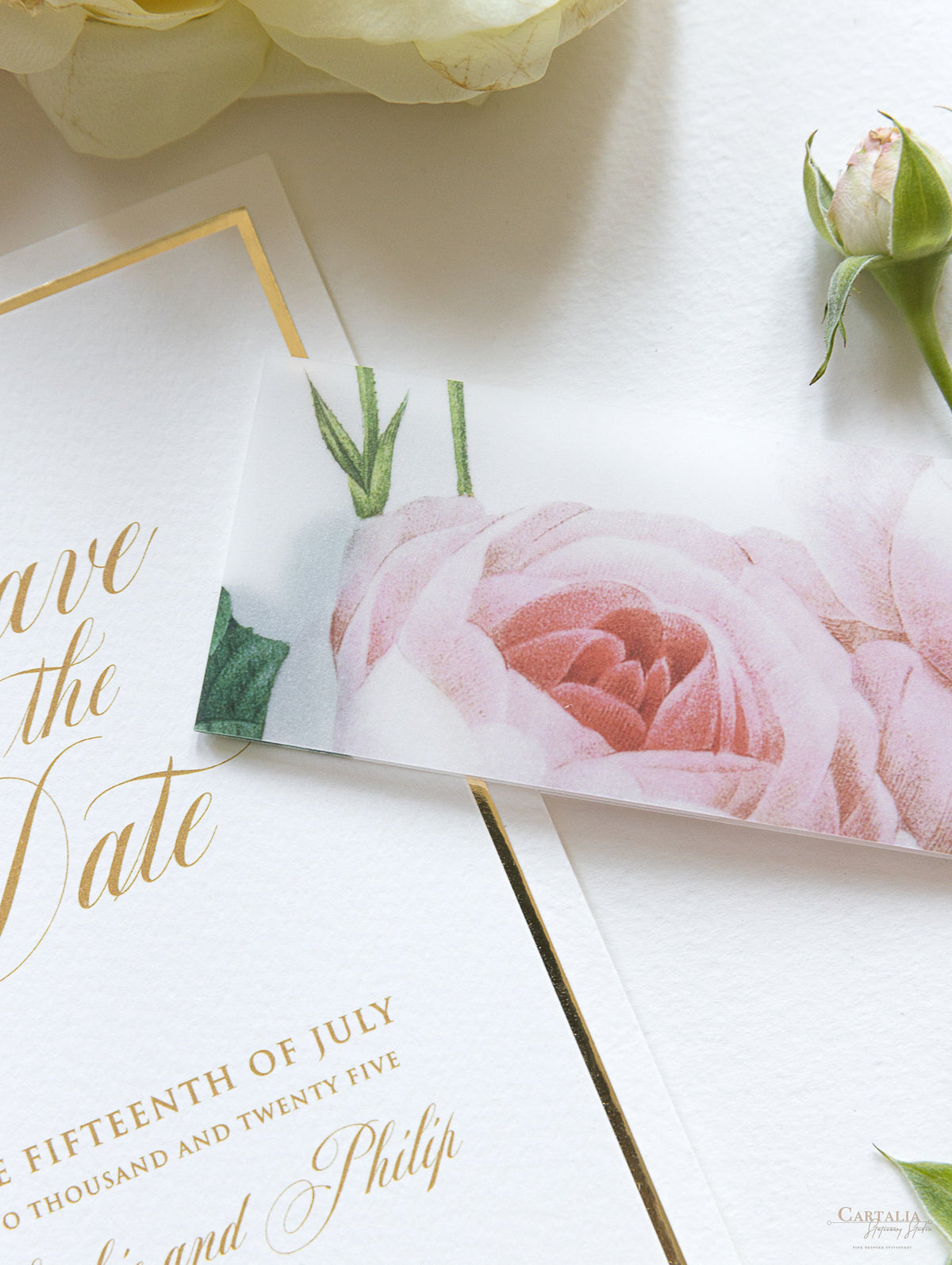 Lussuosa lamina d'oro e rose romantiche color crema SAVE THE DATE con fascia in pergamena