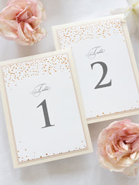 Numero e nome del tavolo classico dei coriandoli in rosa antico e champagne