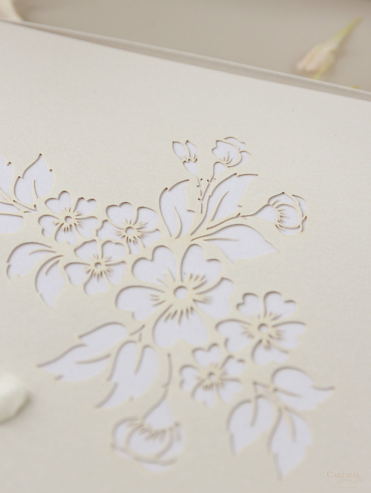 Couture Box : 3D Luxuriously Intricate Tier Laser Cutting Wedding Invitation Suite