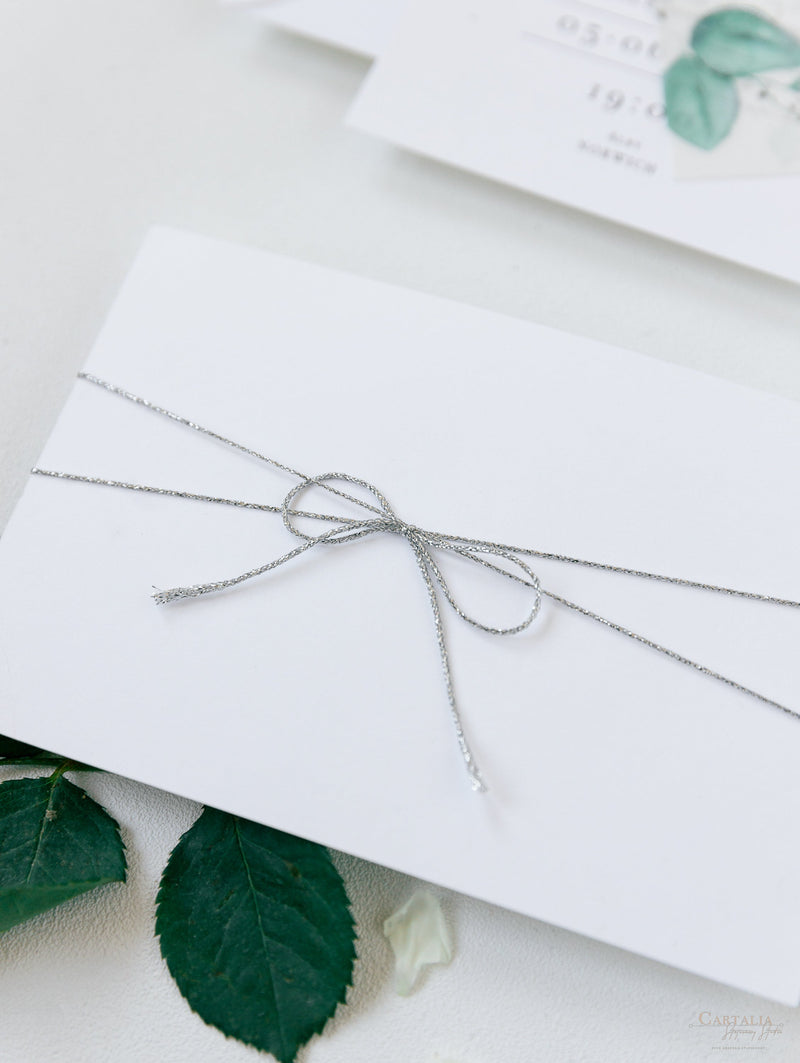 Eucalyptus Magnet Silver Mirror Plexi in Hexagon Save the Date with card and Silver String