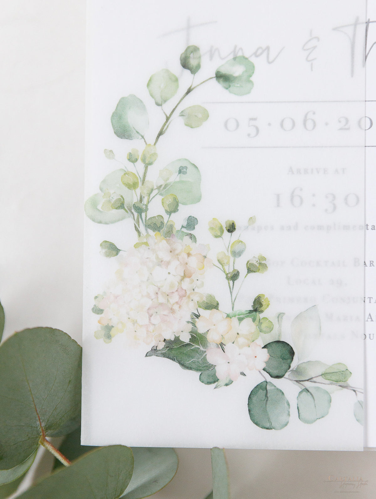 Vellum Day Invitation & RSVP │White Hydrangea Flowers & Greenery │ with Mirror Plexi