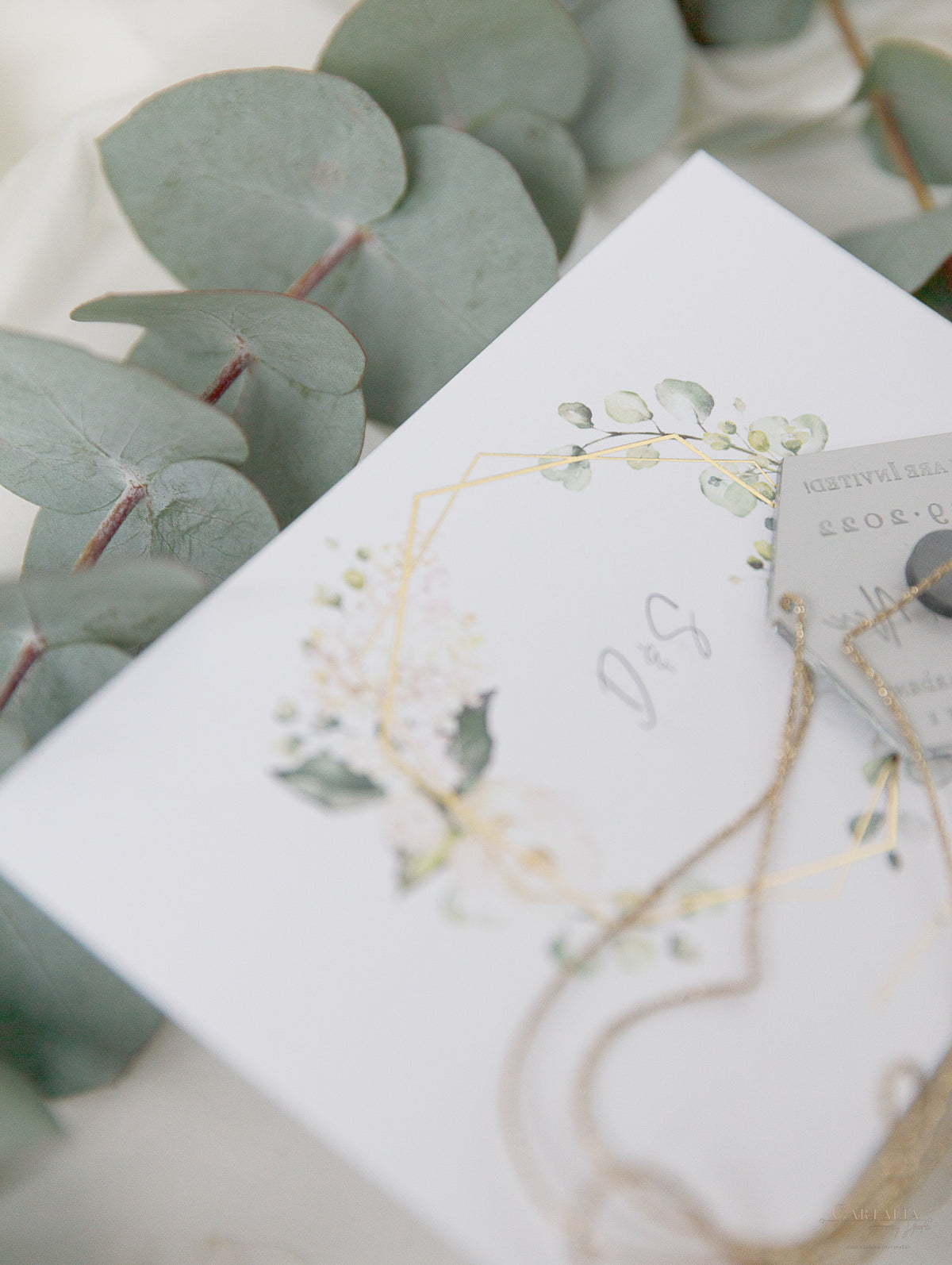 Flores de hortensias blancas y vegetación Plexi espejo plateado en hexágono Imán para guardar la fecha