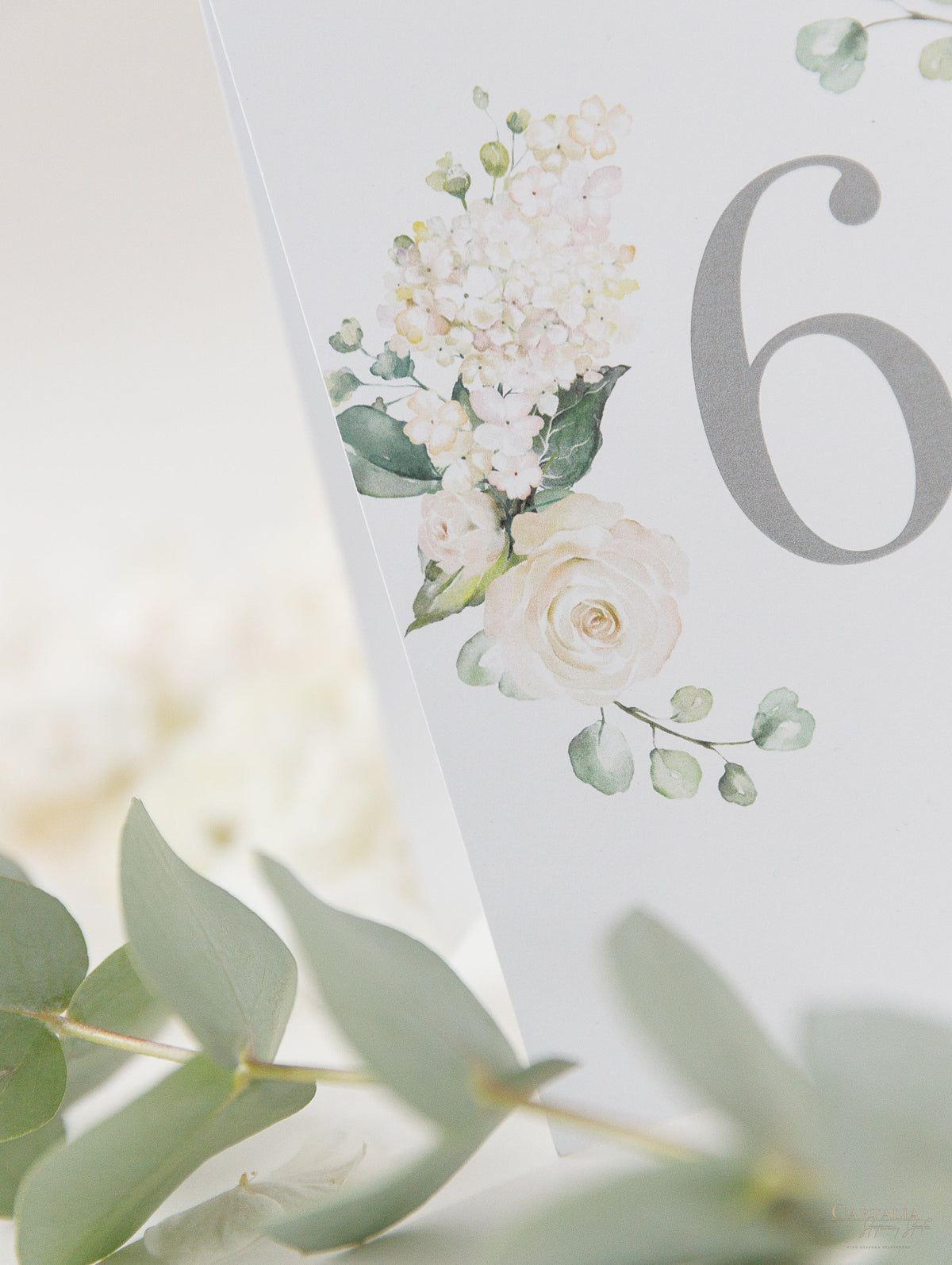 White Hydrangea Table Numbers