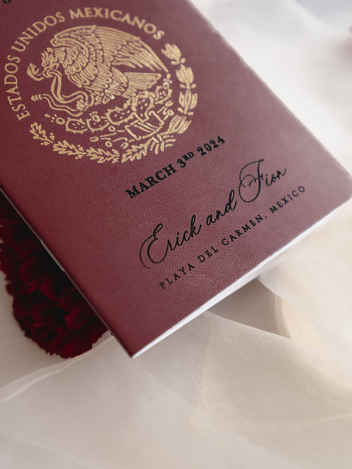 Portefeuille de voyage à destination de luxe | Foil d'or et gravé avec Plancheur Planche Portefeuille Passeport: Invitation de passeport de mariage de luxe