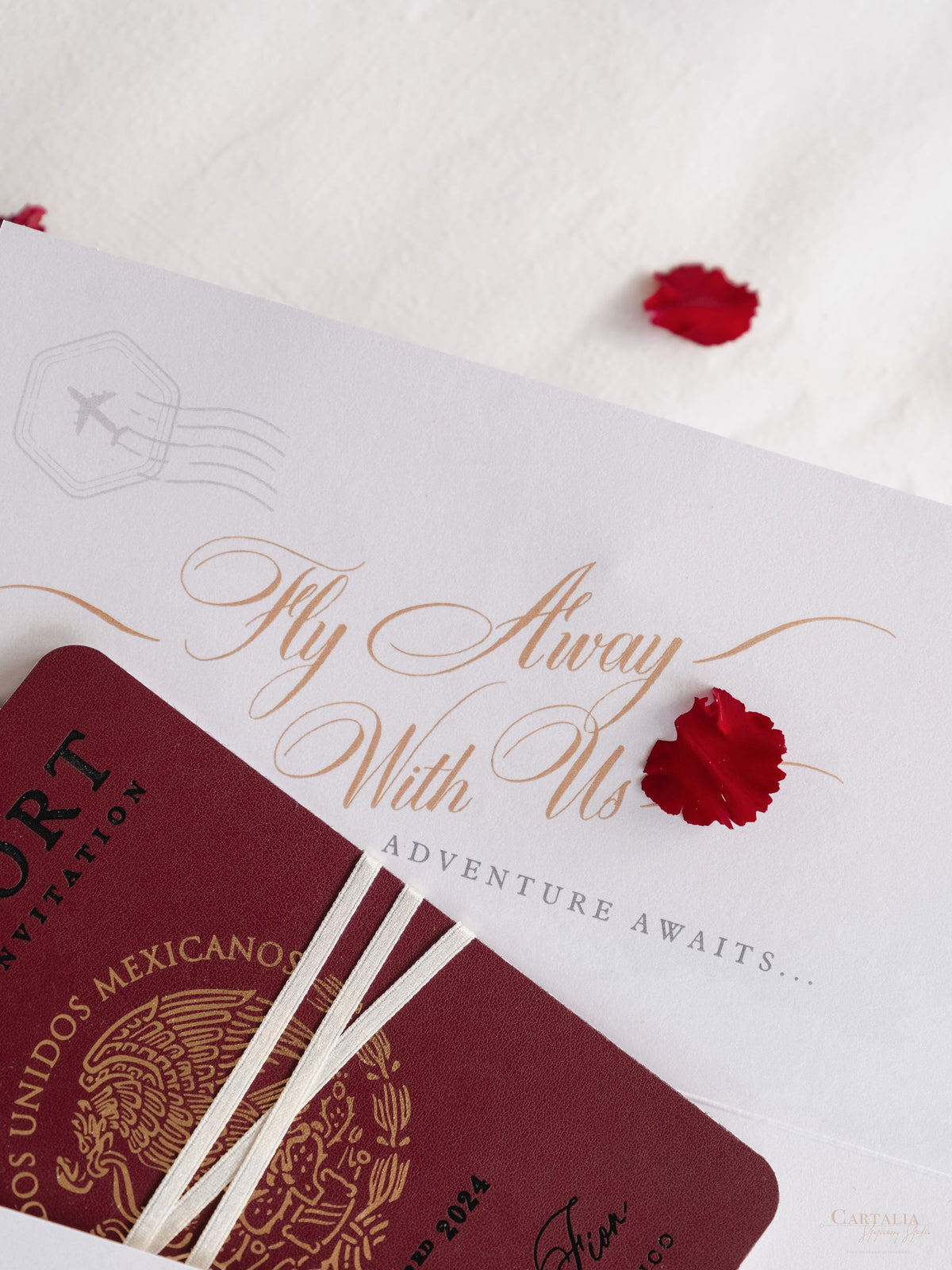 Luxury Destination Travel Wallet | Gold Foil & Engraved with Plexi Plane Passport Travel Wallet : Luxury Wedding Passport Invite