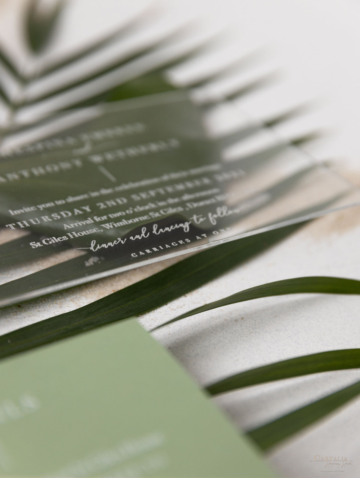 Sage Green Palm FearS Invitation Suite de mariage | Commission sur mesure D&A
