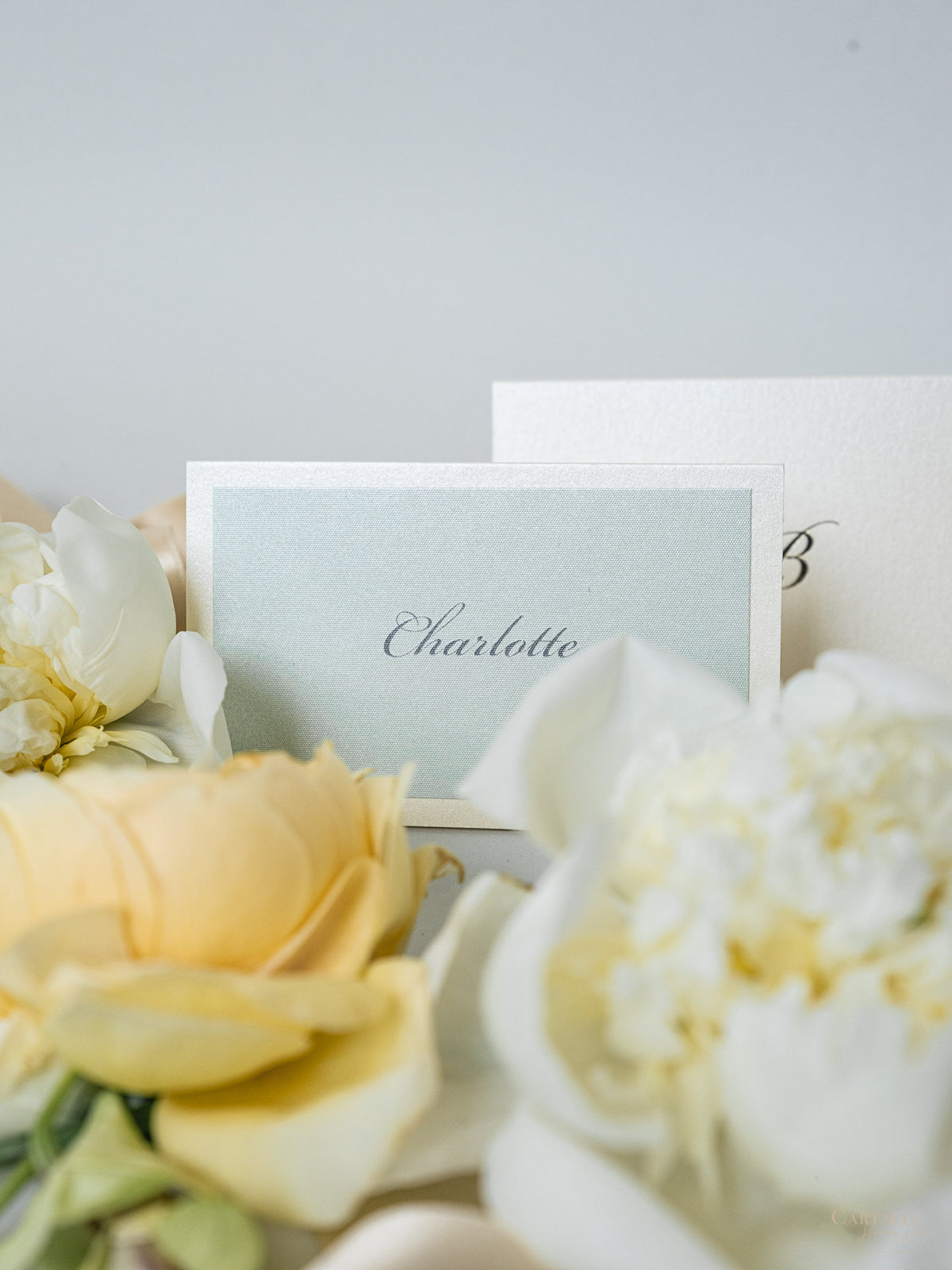 Cartes Sage Green & Champagne avec monogramme sur papier d'or