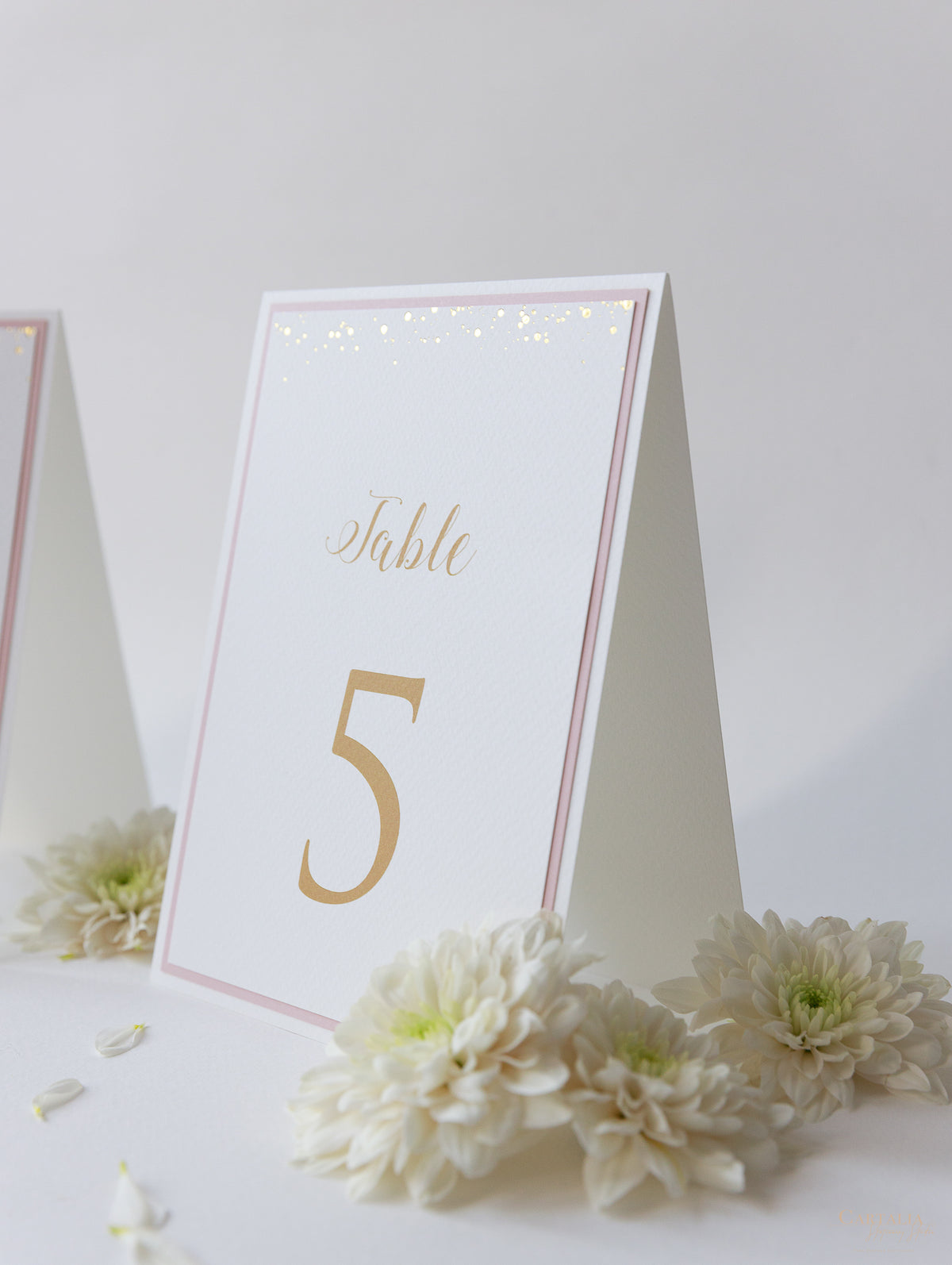 Tarjetas de números de mesa con puntos de confeti