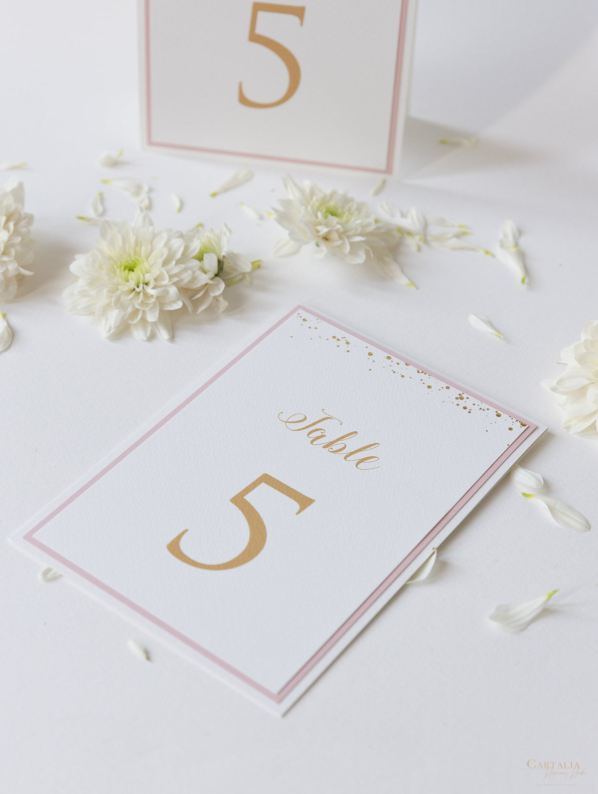 Tarjetas de números de mesa con puntos de confeti