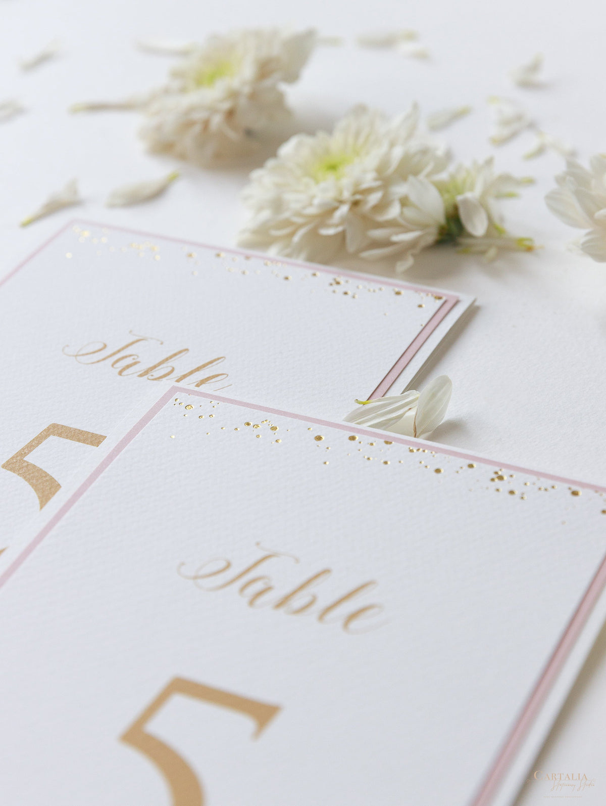 Tarjetas de números de mesa con puntos de confeti