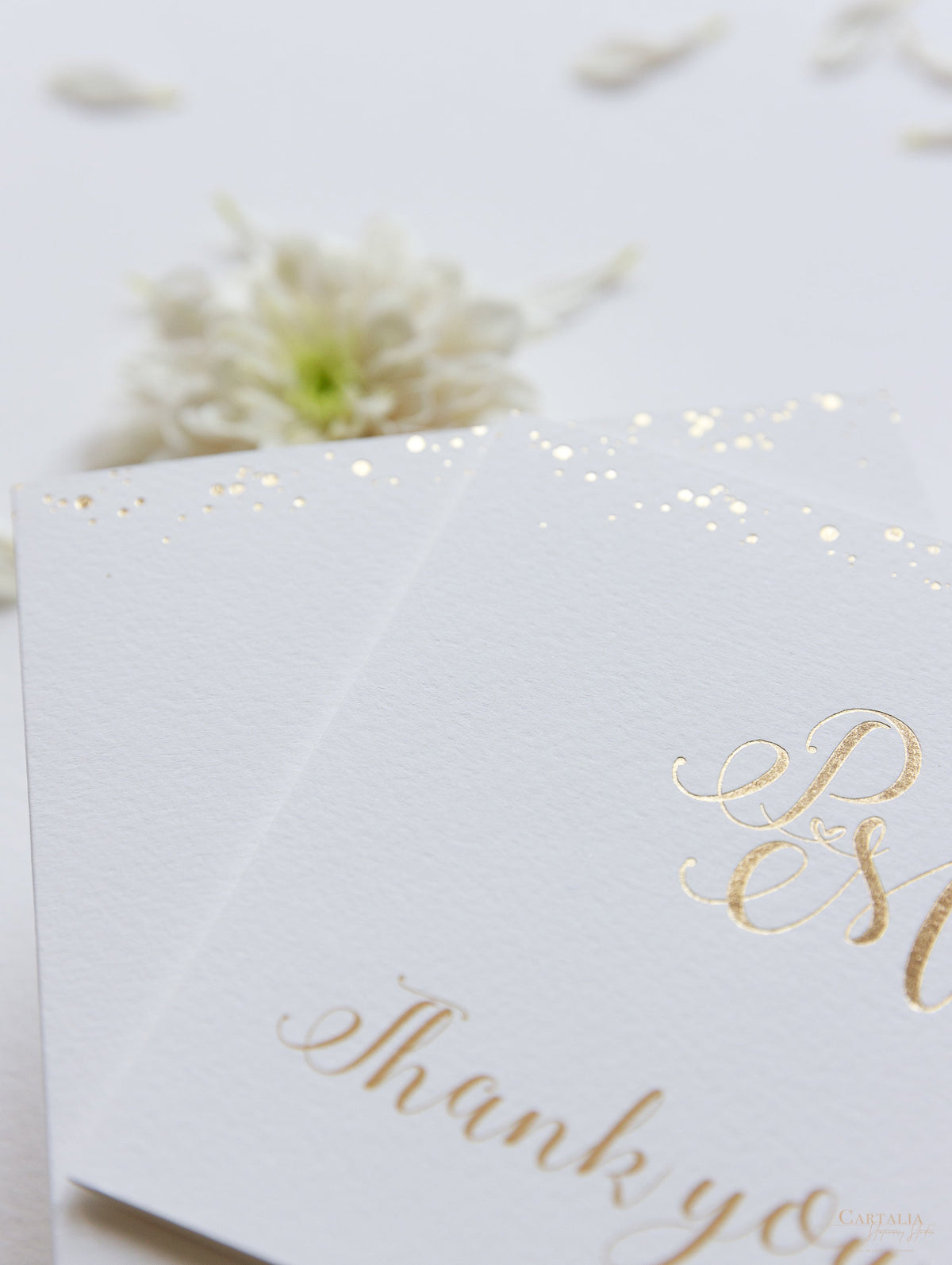 Luxury Royal Gold Foil Confetti Disted Blush Rose Carte de remerciement avec enveloppe