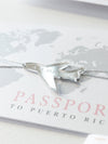 Portafoglio FOLDER: invito per passaporto di nozze di lusso in argento in tasca e suite per inviti per passaporto con tag aereo a specchio