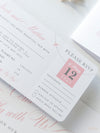 Portafoglio FOLDER: invito per passaporto di nozze di lusso in argento in tasca e suite per inviti per passaporto con tag aereo a specchio