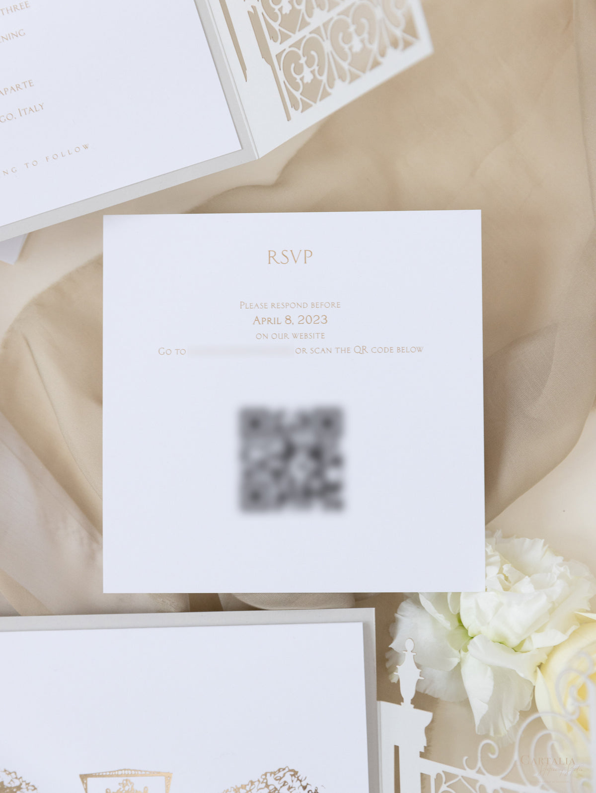 Villa Valentini Bonaparte | Invitation de mariage de lieu d'ornement de la porte d'ornement | Commission sur mesure P&B