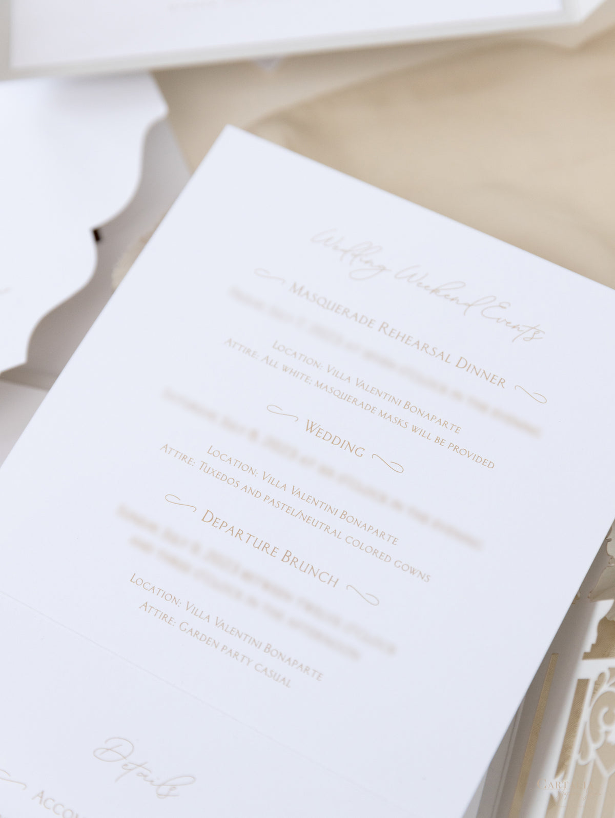 Villa Valentini Bonaparte | Invitación de boda frustrada con puerta ornamental | Comisión personalizada P&amp;B