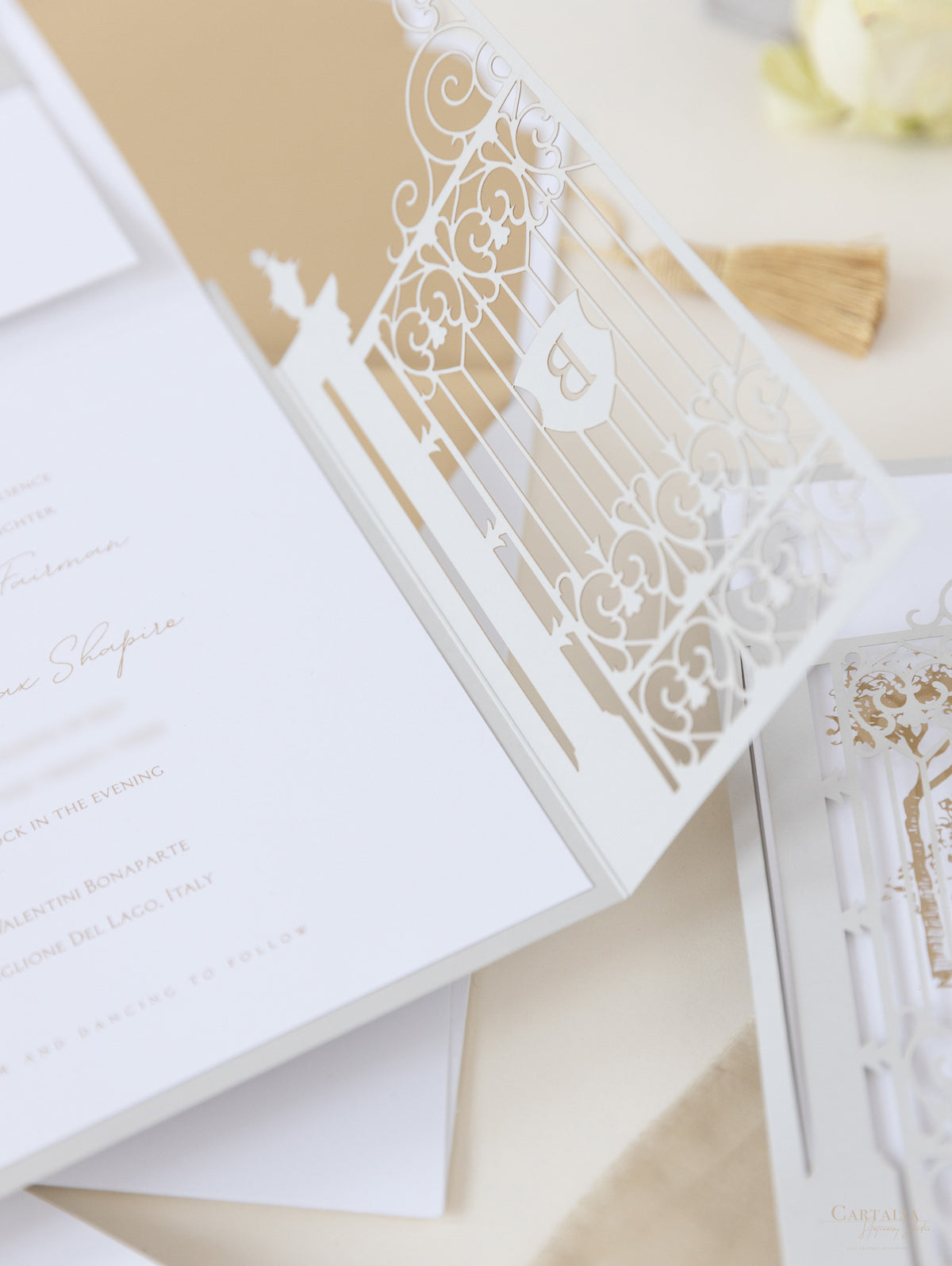 Villa Valentini Bonaparte | Invitation de mariage de lieu d'ornement de la porte d'ornement | Commission sur mesure P&B