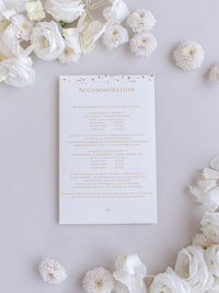 Luxury Royal Gold Foil Confetti Dreated Gold and White Pocket Fold Wedding Invitation Suite