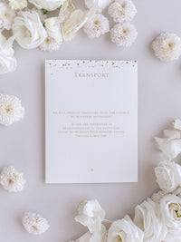 Luxury Royal Gold Foil Confetti Dreated Gold and White Pocket Fold Wedding Invitation Suite