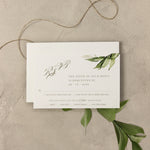 Avvolgimento in pergamena botanica con invito in plexi acrilico trasparente di design - inciso